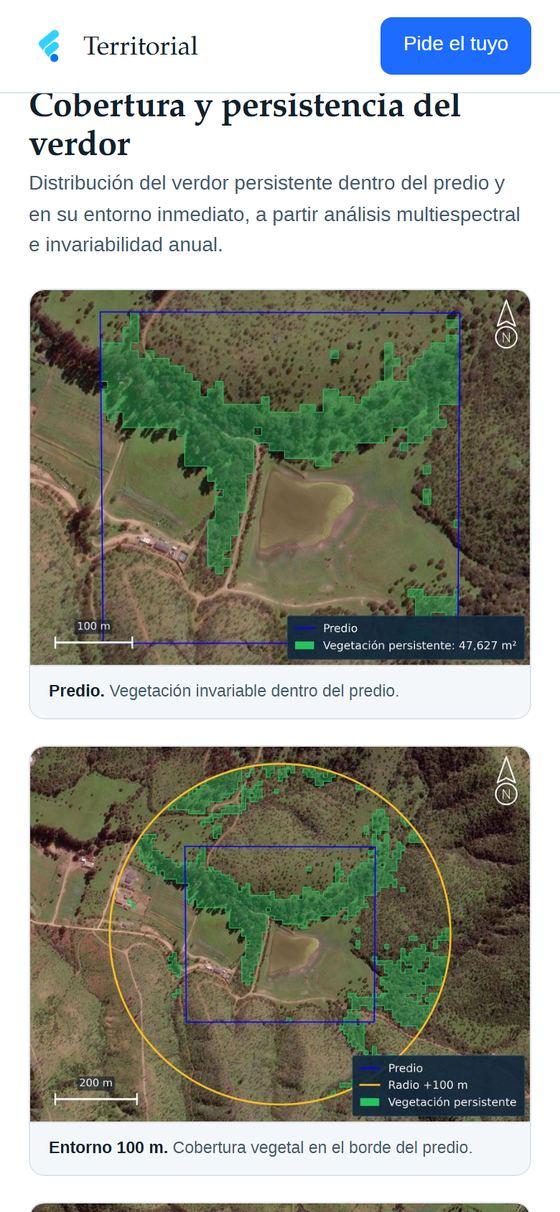 Mapas del verdor persistente dentro del predio y en su entorno inmediato