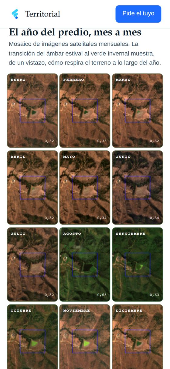 Mosaico de doce imágenes satelitales, una por mes, con el índice de verdor de cada una