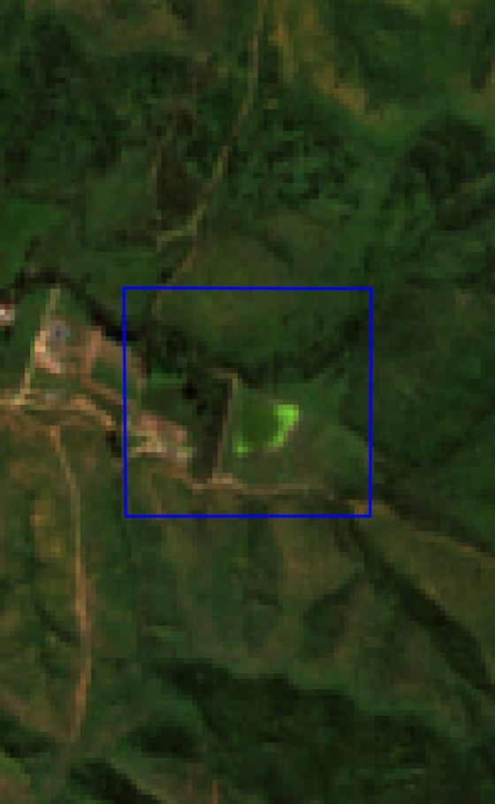 Imagen satelital del predio en septiembre