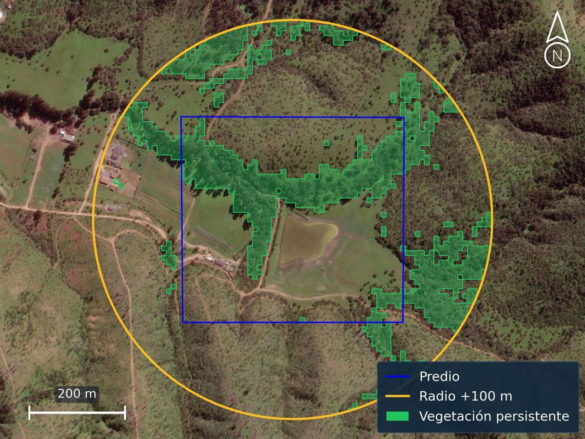 Vegetación persistente en un radio de 100 m