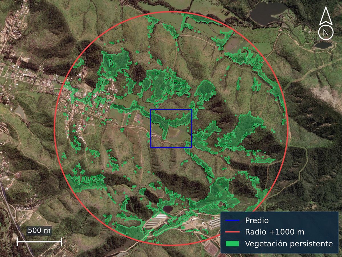Vegetación persistente en un radio de 1.000 m