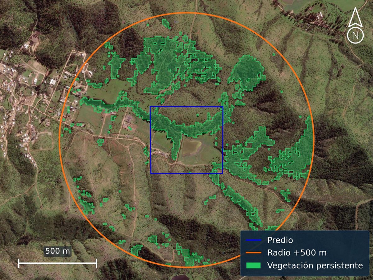 Vegetación persistente en un radio de 500 m